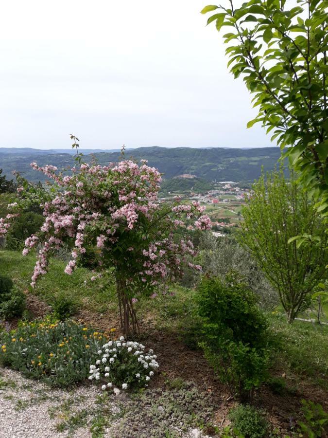 Apartment Finderli Buzet Kültér fotó